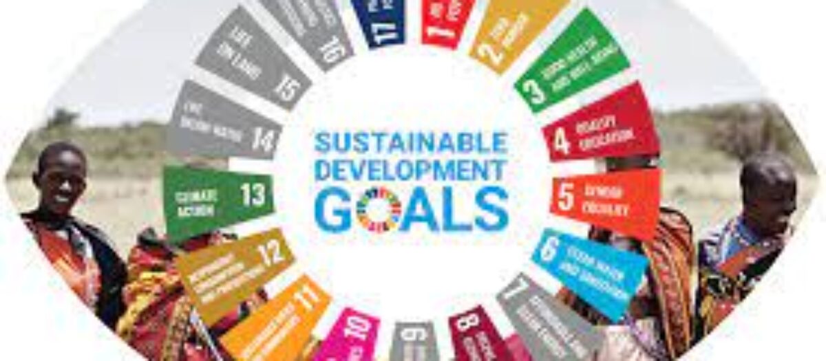 UN Sustainable Development Goals the Remainder