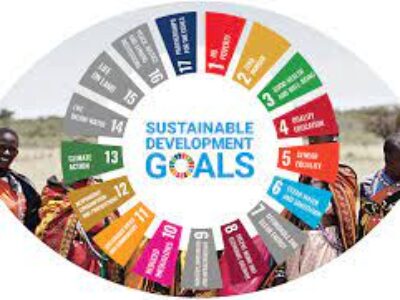 UN Sustainable Development Goals the Remainder