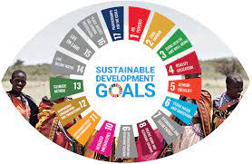 UN Sustainable Development Goals the Remainder